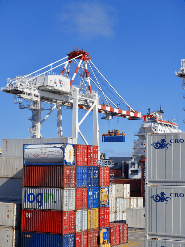 Diseño sin título (15)