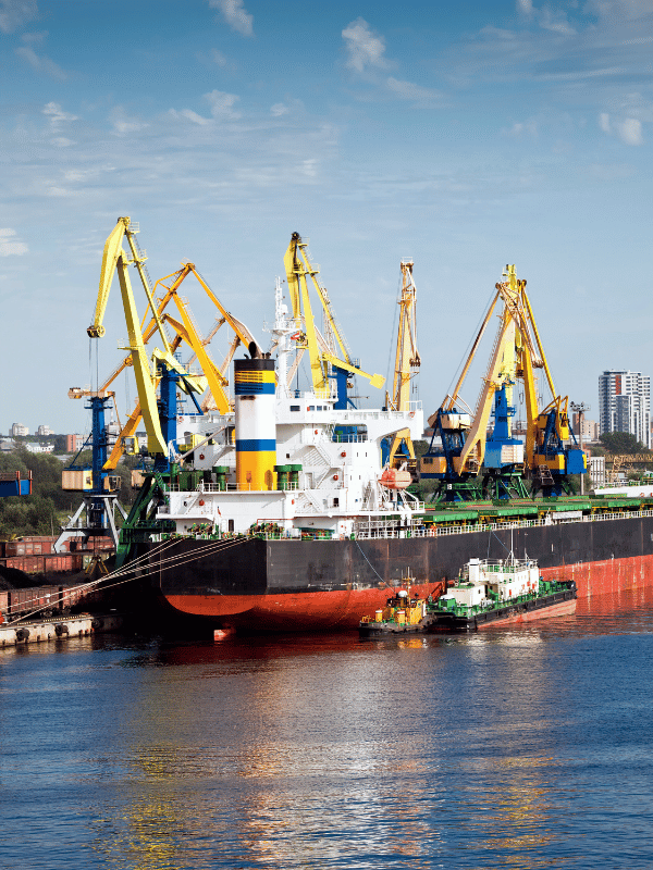 Diseño sin título (17)